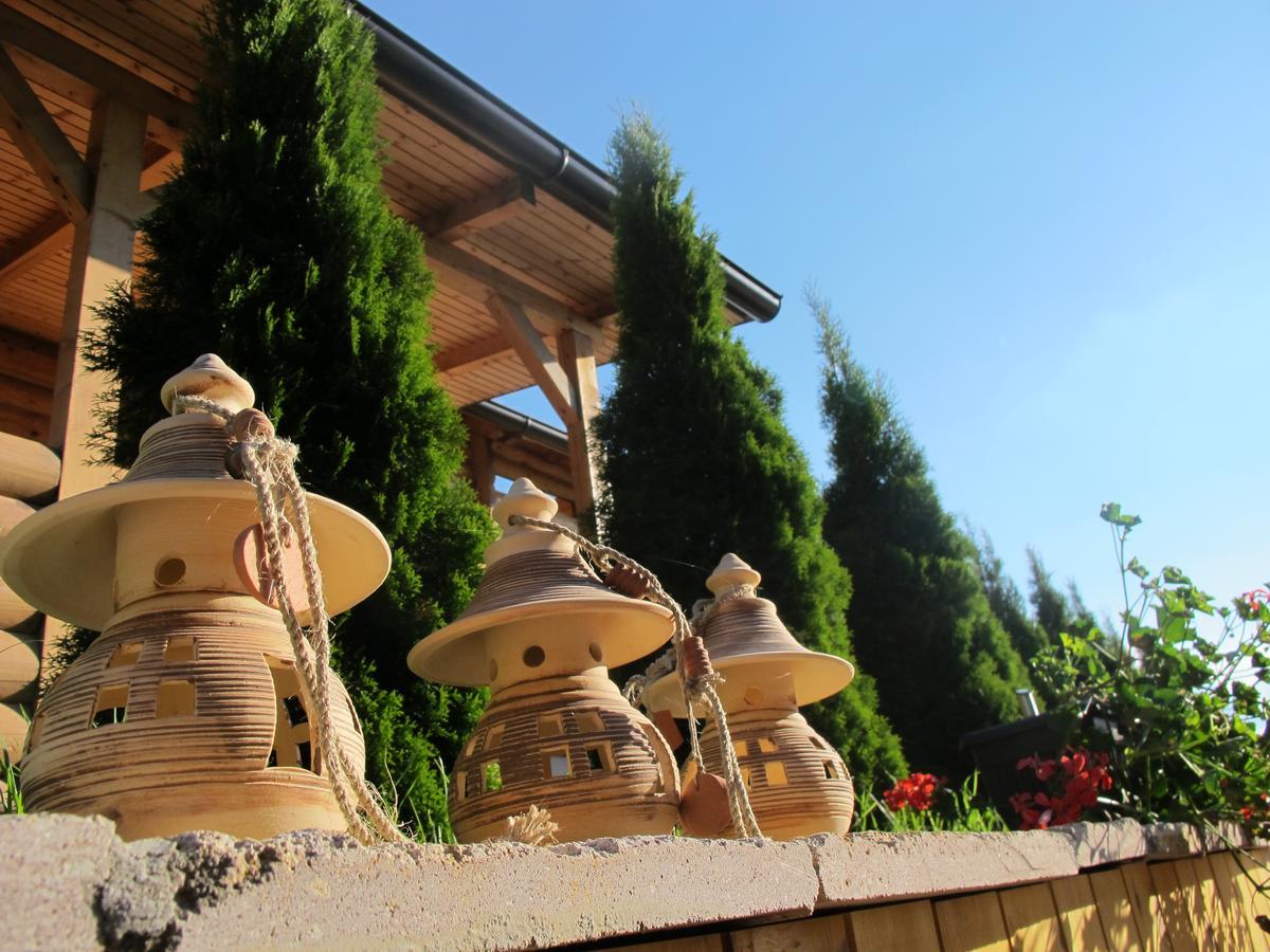 Brvnare Bor Villa Zlatibor Exterior foto