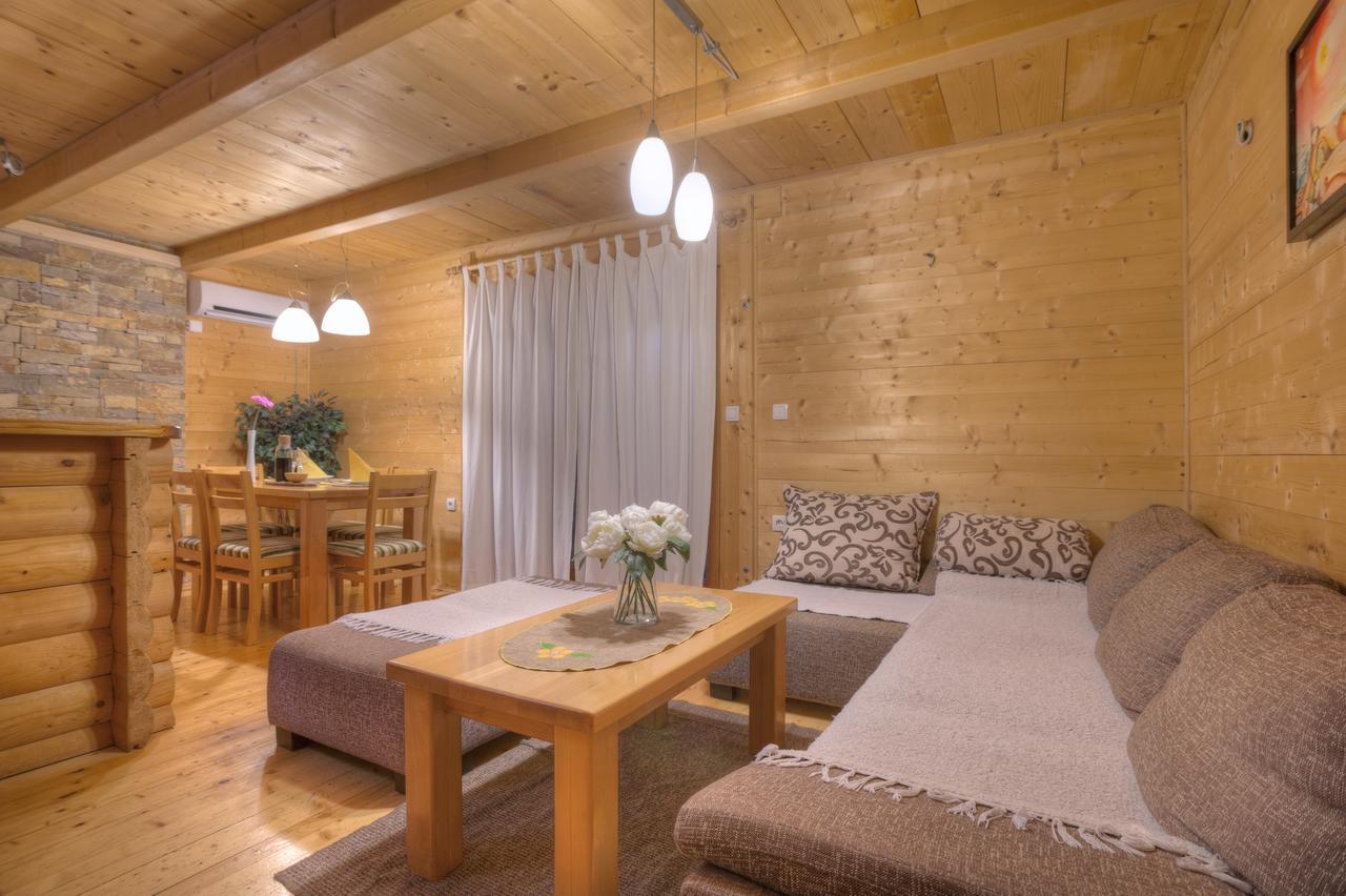 Brvnare Bor Villa Zlatibor Exterior foto
